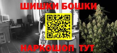 индика Тула