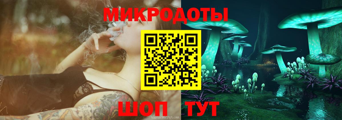 Миллерово  Псилоцибиновые грибы Psilocybine cubensis  Вход с VPN 